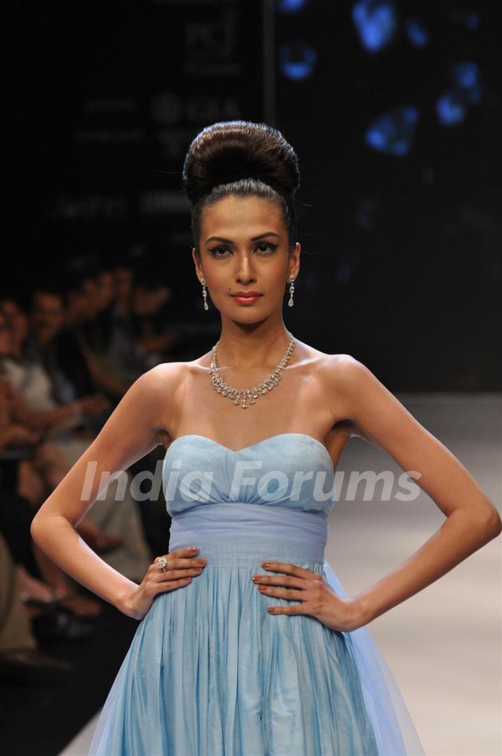 Dynamic International show at IIJW 2012