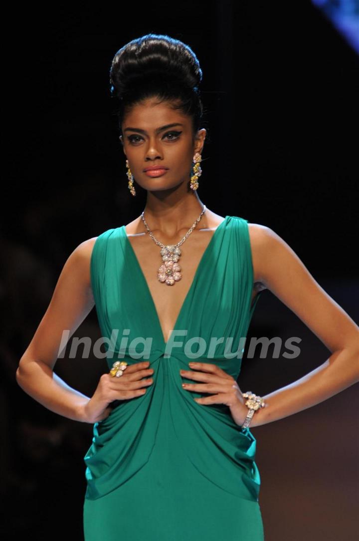 Dynamic International show at IIJW 2012