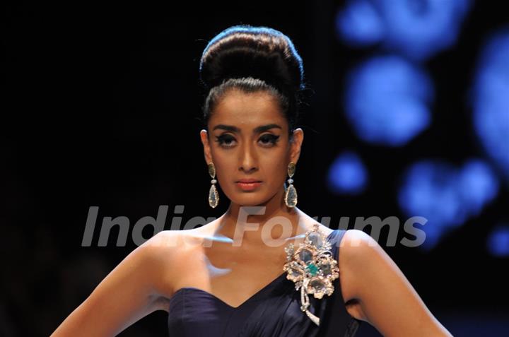 Dynamic International show at IIJW 2012