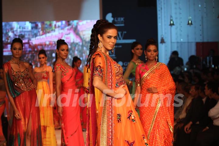 Gitanjali Gems show on Day 4 of IIJW 2012