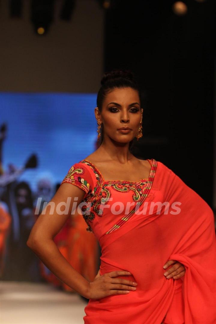 Gitanjali Gems show on Day 4 of IIJW 2012