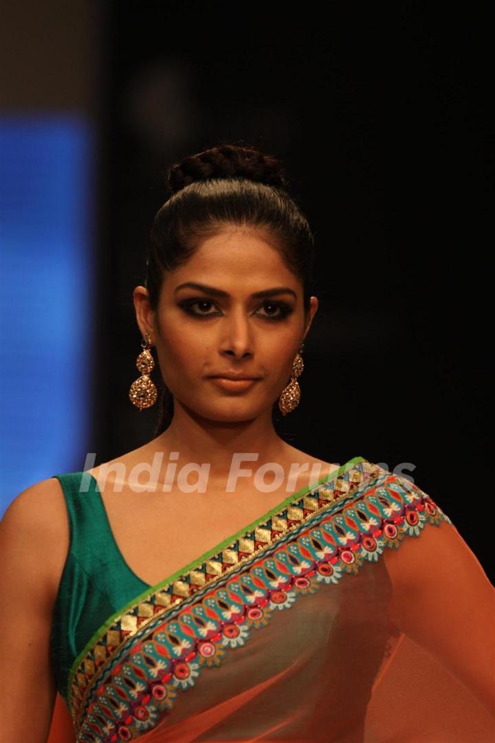 Gitanjali Gems show on Day 4 of IIJW 2012