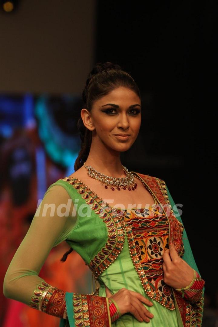 Gitanjali Gems show on Day 4 of IIJW 2012