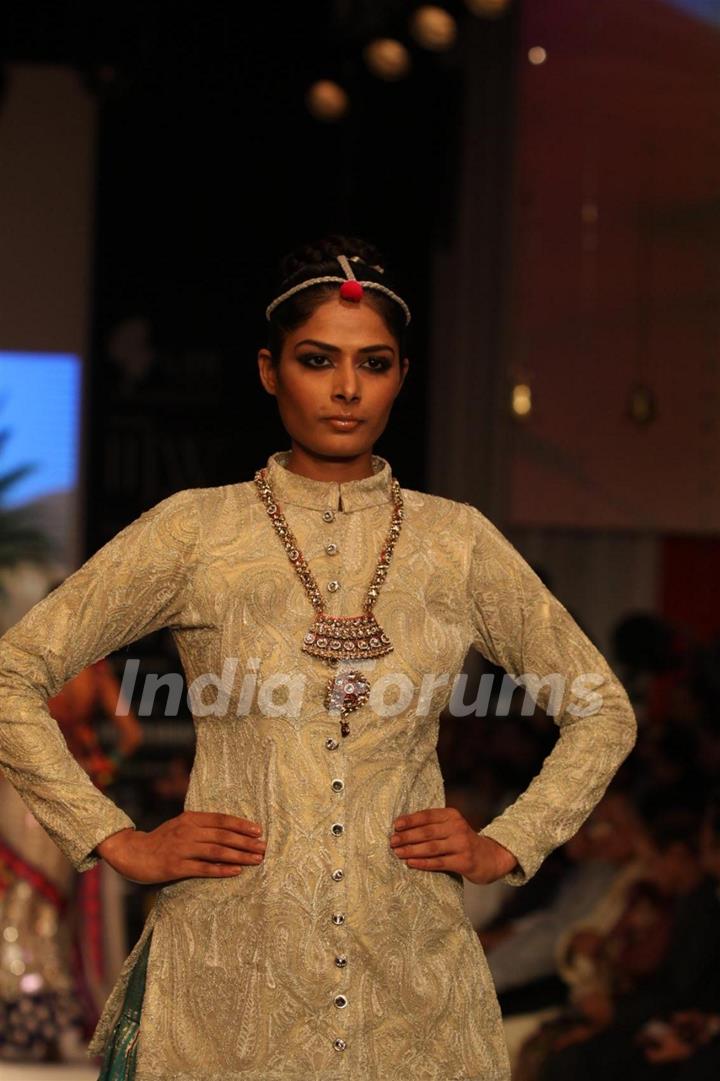 Gitanjali Gems show on Day 4 of IIJW 2012