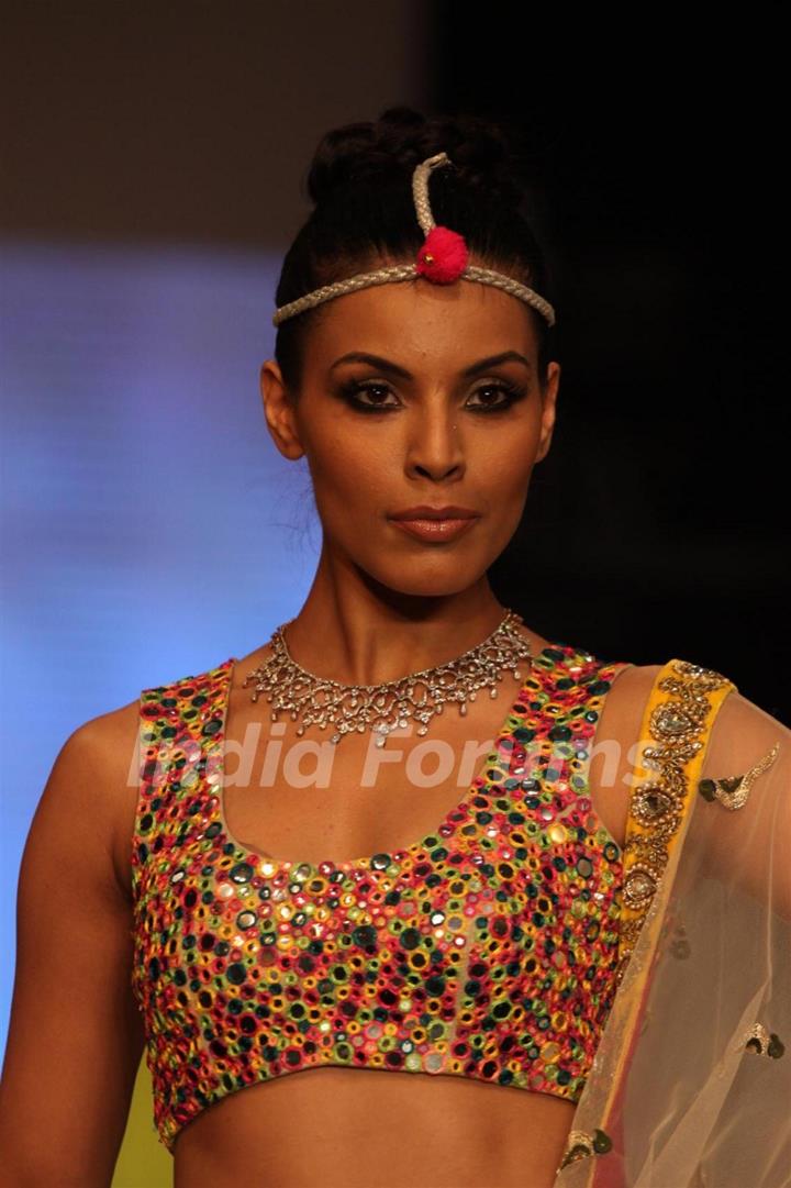 Gitanjali Gems show on Day 4 of IIJW 2012