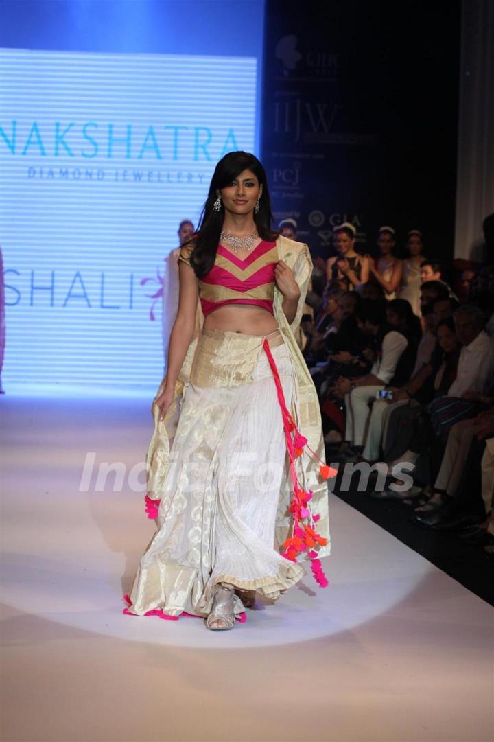 Gitanjali Gems show on Day 4 of IIJW 2012