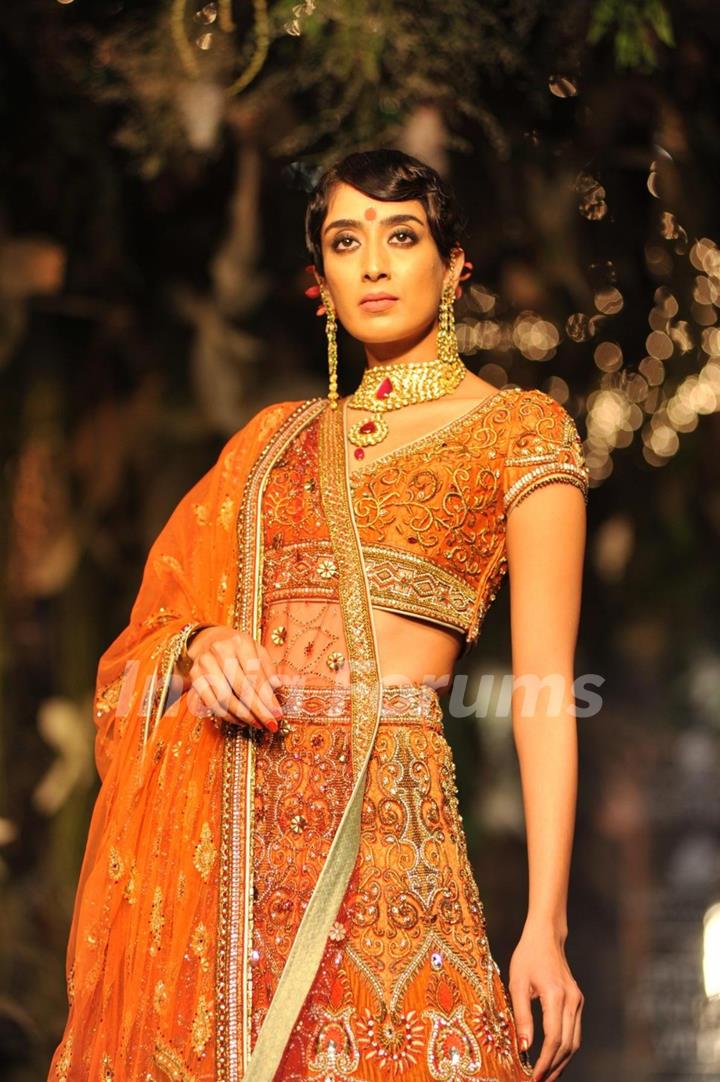 Aamby Valley India Bridal Fashion Week 2012