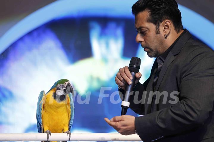 Bigg Boss Season 6 Salman Khan at Triden