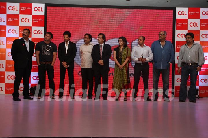 Celebrity Cricket League T20 2012