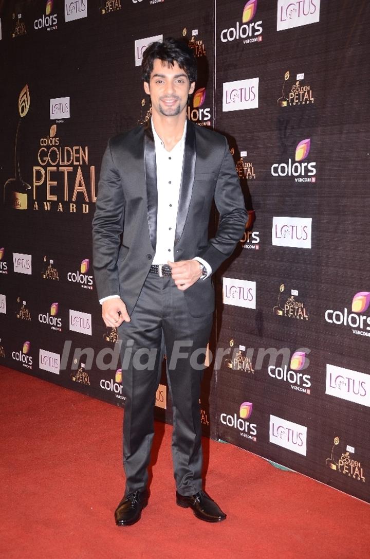 Karan Wahi at Colors Golden Petal Awards Red Carpet Moments