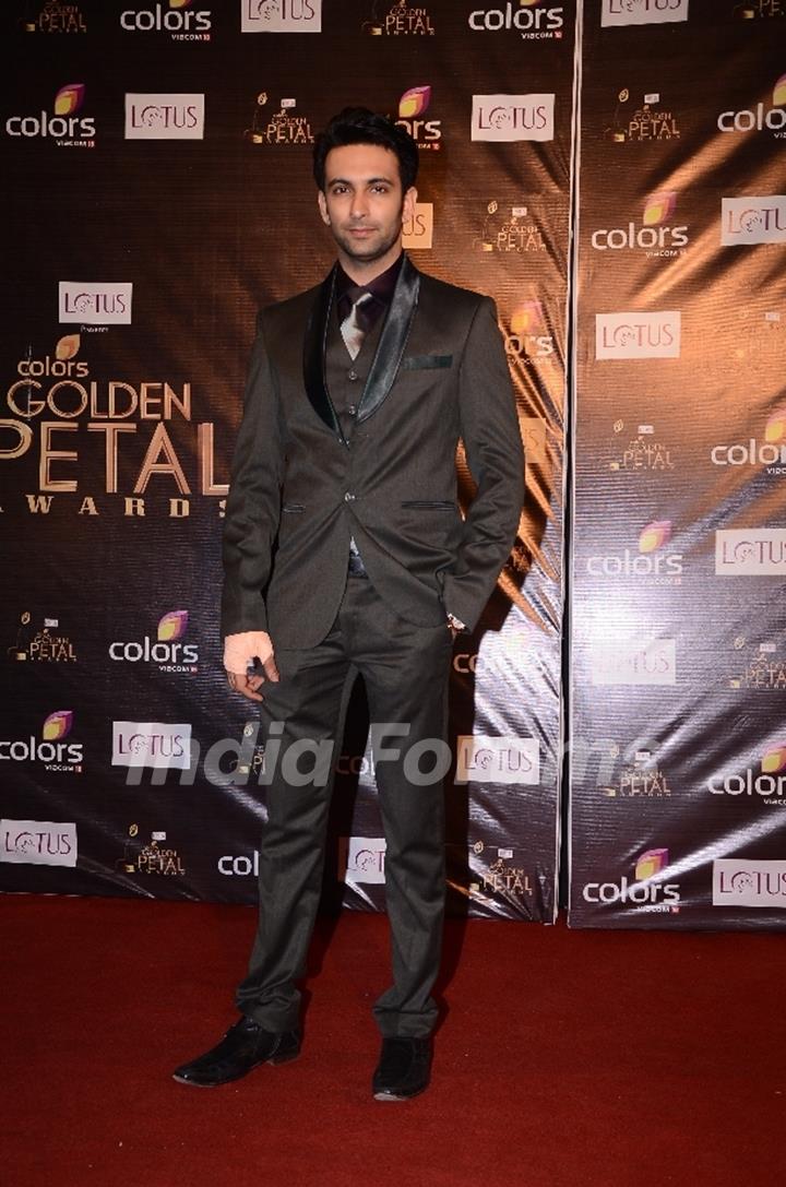 Nandish Sandhu at Colors Golden Petal Awards Red Carpet Moments