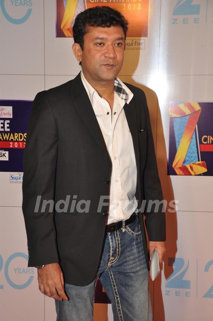 Zee Cine Awards 2013