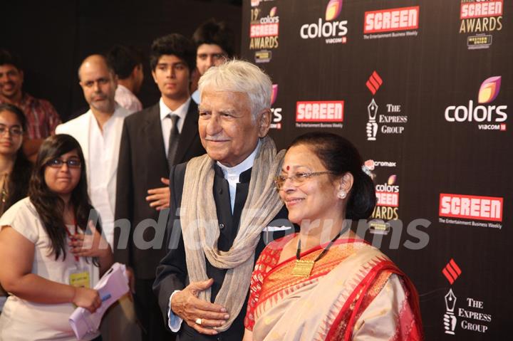 Colors Screen Awards 2013