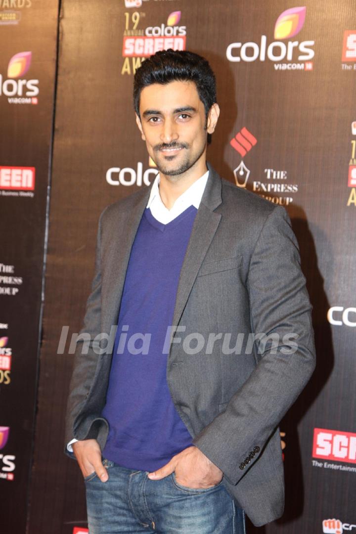 Colors Screen Awards 2013