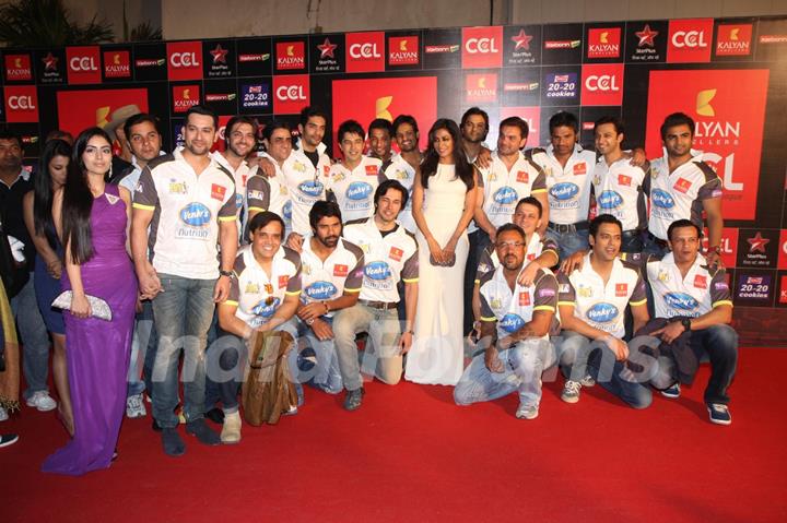 CCL Red Carpet 2013