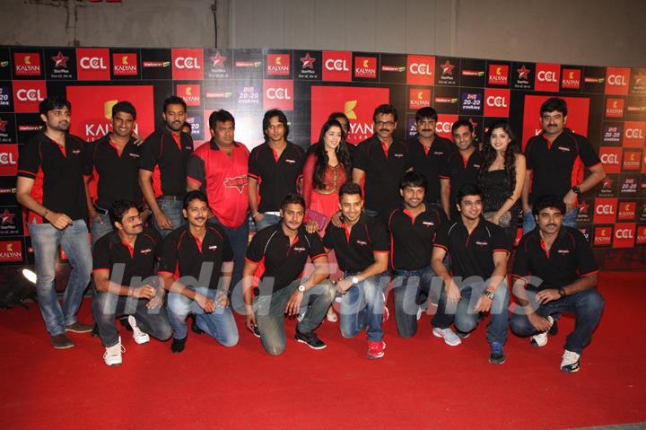 CCL Red Carpet 2013