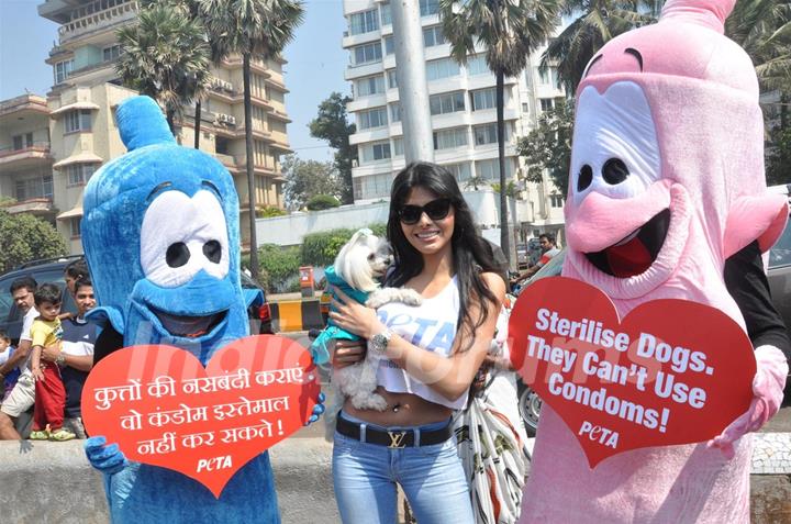 Sherlyn Chopra along with PETA's Giant Condoms