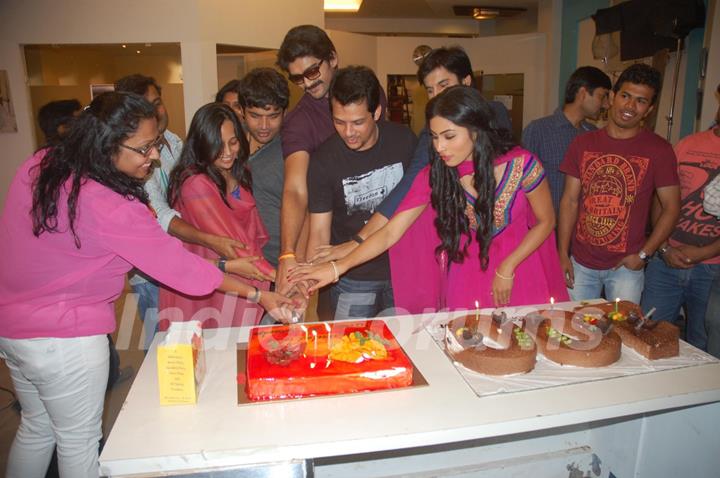 100 episodes cake cutting in Junoon