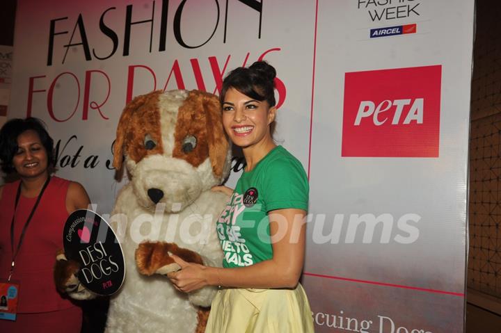 Jacqueline Fernandez unveils new PETA campaign at Lakme Fashion Week Summer 2013