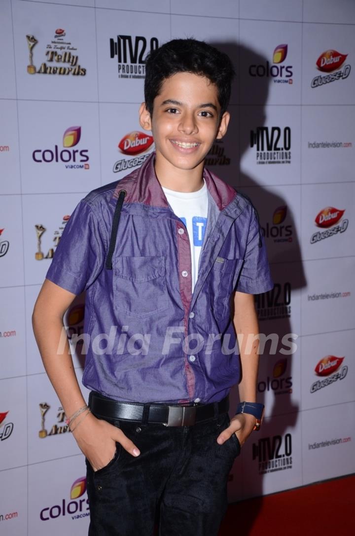 Indian Telly Awards