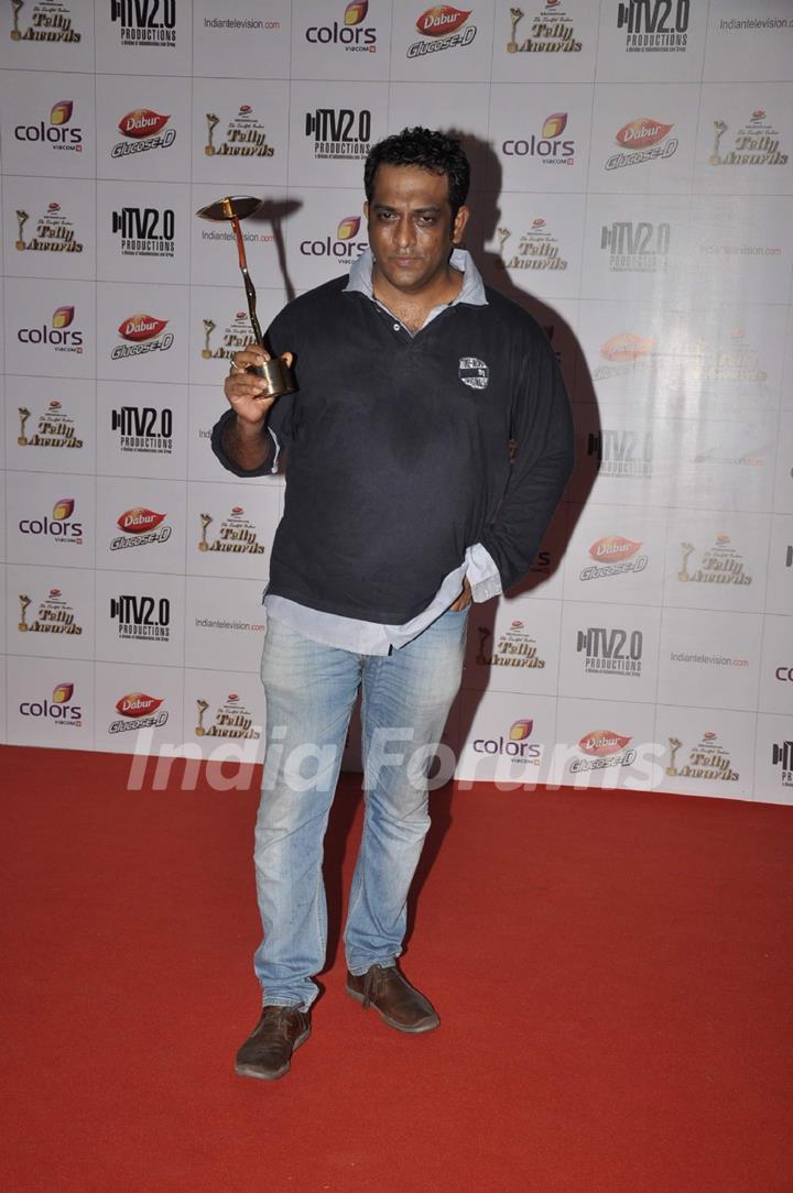 Indian Telly Awards 2013