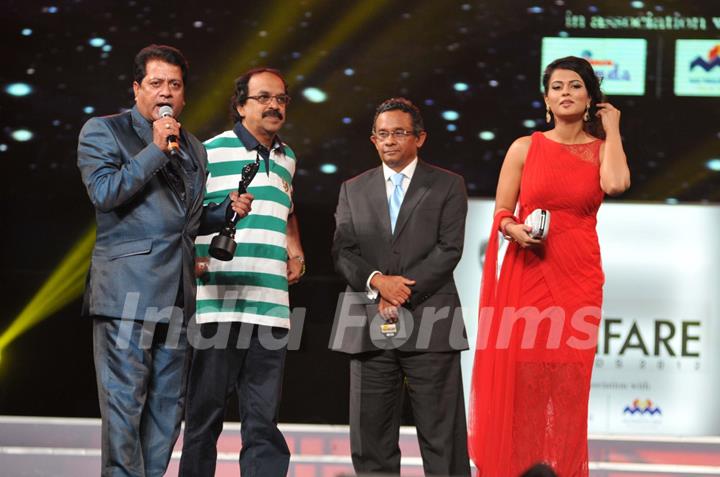 60th Idea Filmfare Awards 2012 (SOUTH)