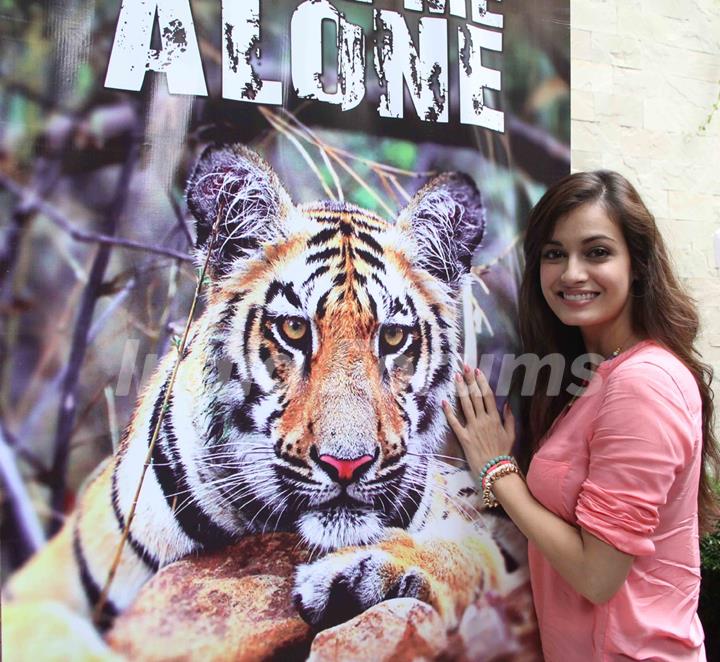 Dia Mirza at the launch of Leave Me Alone campaign