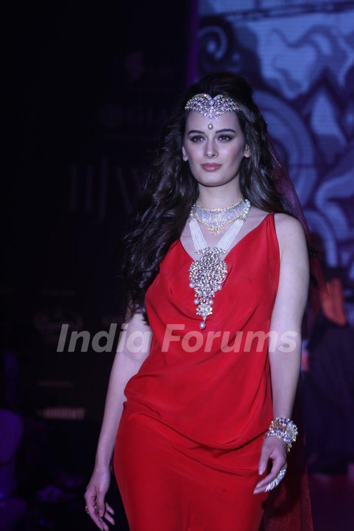 Evelyn Sharma showstopper for Gehna show at IIJW 2013