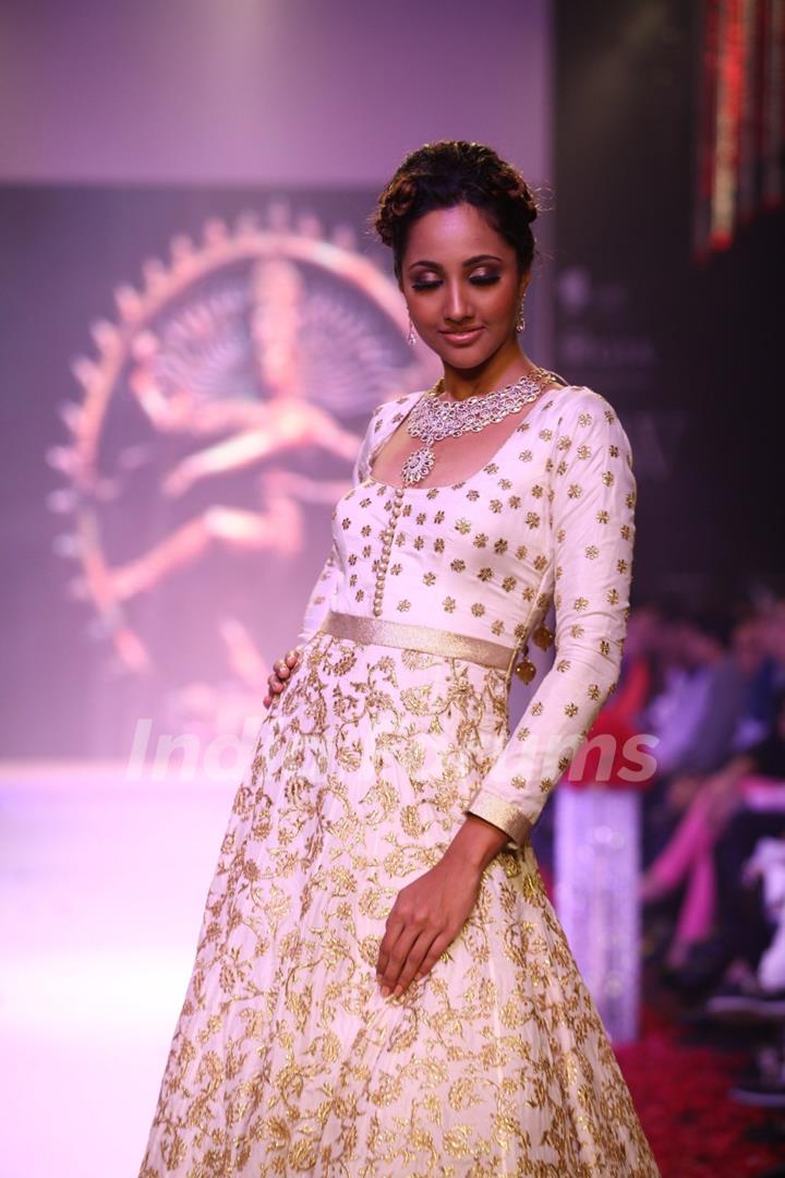 Gitanjali show on Day 2 at IIJW 2013