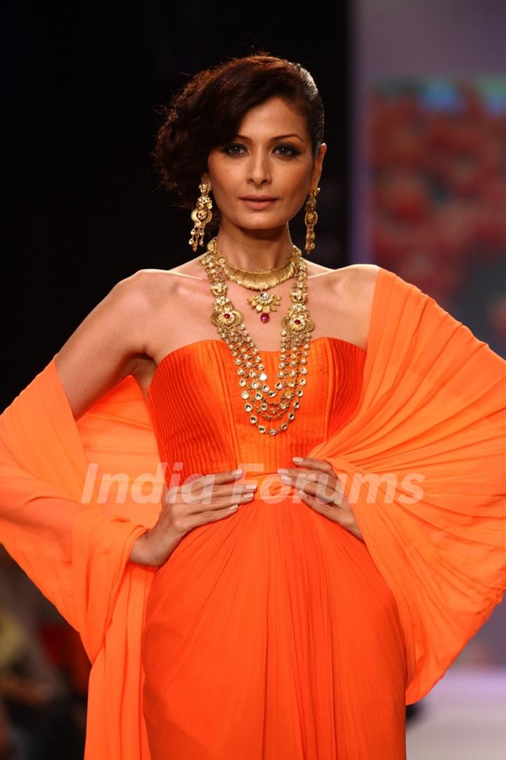 Models walks the ramp at IIJW 2013 Day 4