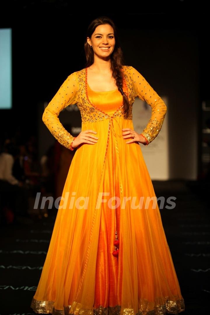 Bollywood Celebrities at LFW Winter Festival 2013