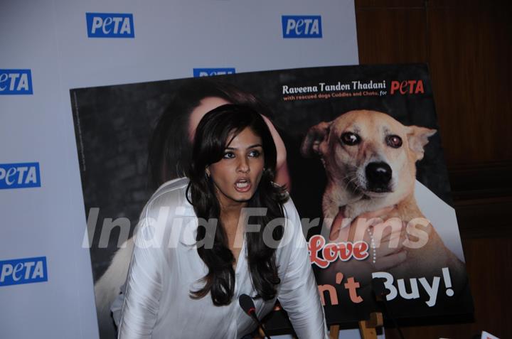 Raveena Tandon at Peta's Press Conference