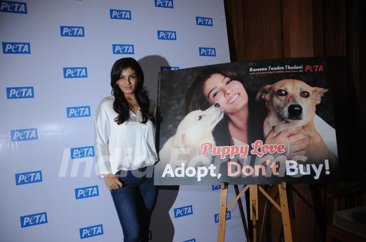 Raveena Tandon at Peta's Press Conference