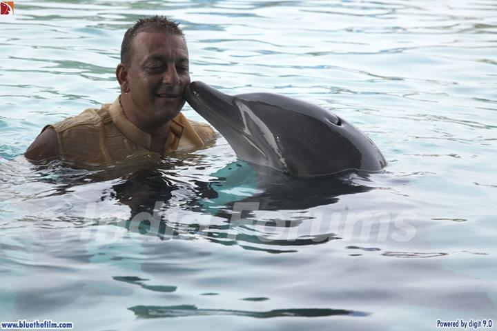 Sanjay Dutt with a Dolphin