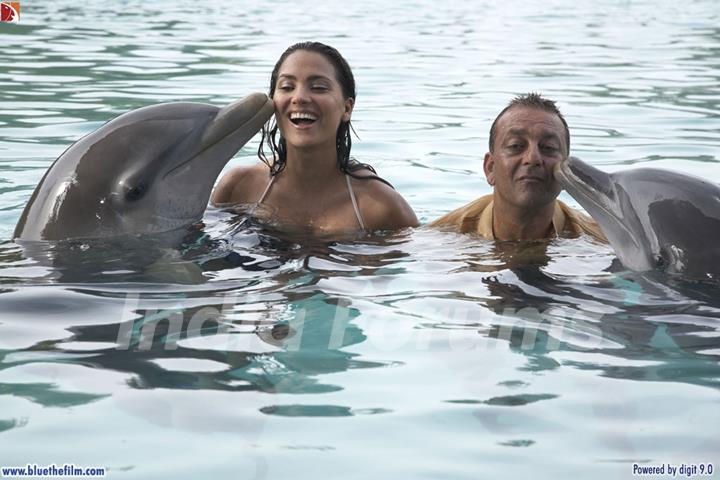 Dolphin Kissing Sanjay and Lara