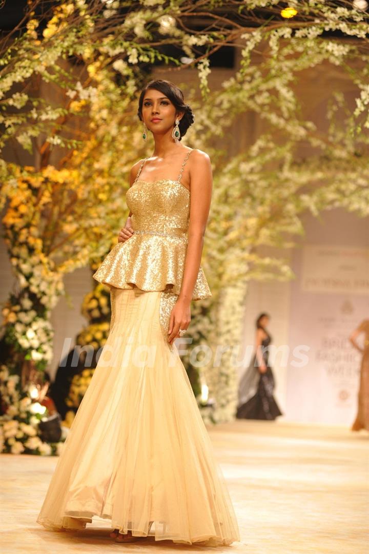 Aamby Valley India Bridal Fashion Week 2013