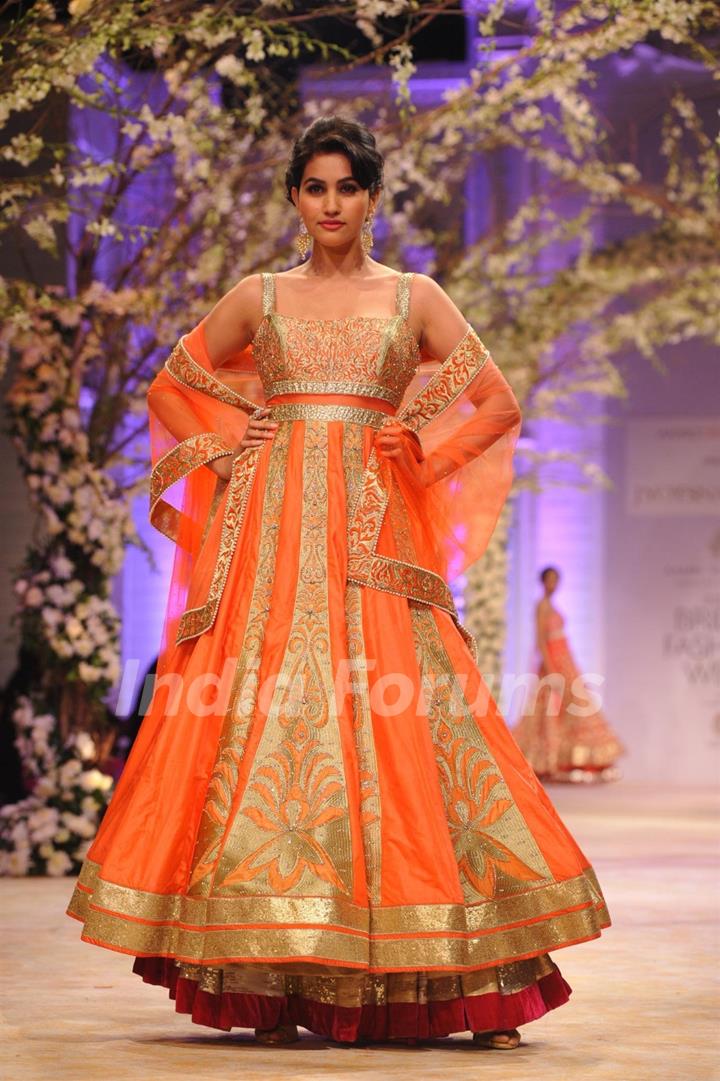 Aamby Valley India Bridal Fashion Week 2013