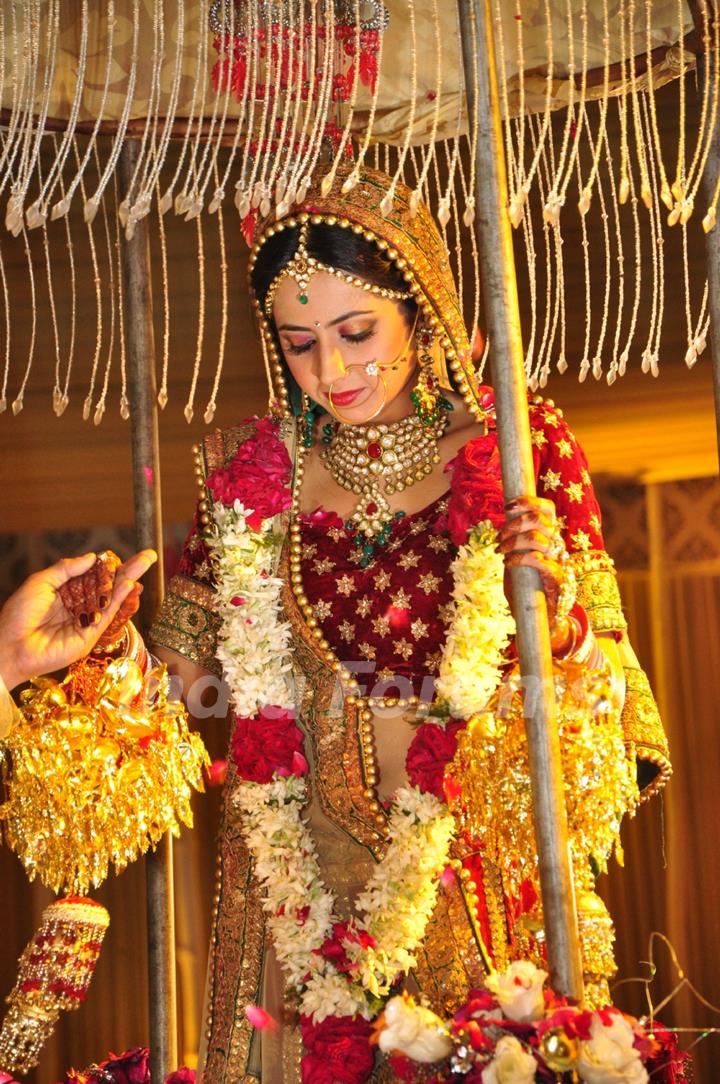 Ravi Dubey and Sargun Mehta's Wedding Ceremony