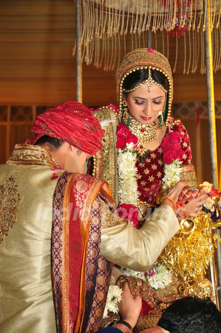 Ravi Dubey and Sargun Mehta's Wedding Ceremony