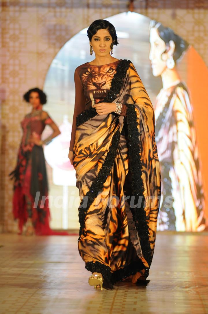 Rohhit Verma's Fashion Show