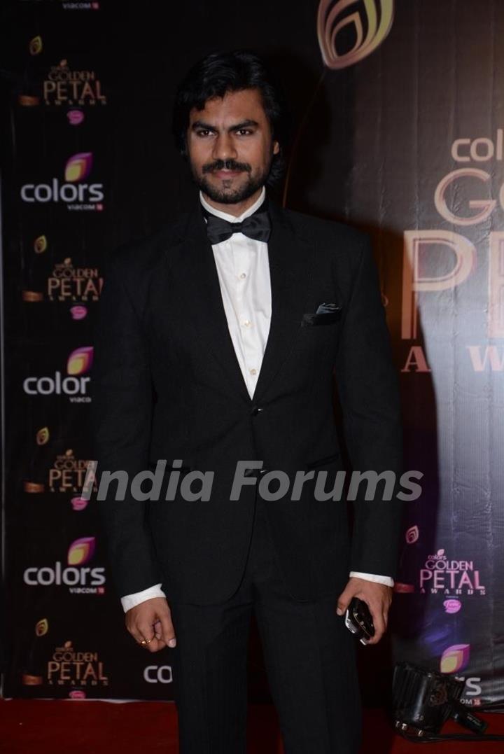 Gaurav Chopra at the COLORS Golden Petal Awards 2013