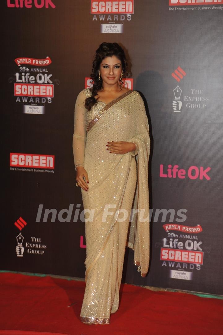 Raveena Tandon was at the 20th Annual Life OK Screen Awards