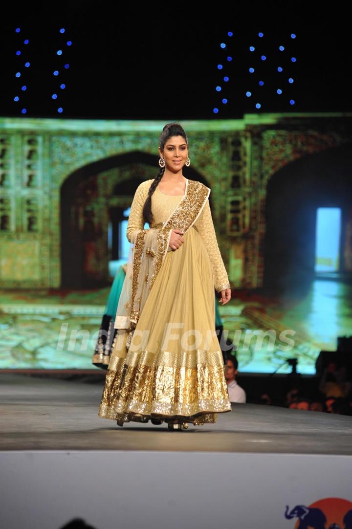 Saakshi Tanwar walked the ramp at the 'Caring with Style' fashion show at NSCI