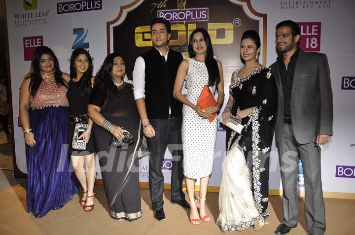 Boroplus Zee Gold Awards 2014