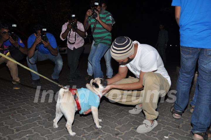 Riteish Deshmukh pets a pug at the success party of ek villain