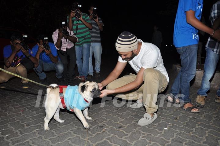 Riteish Deshmukh pets a pug at the success party of ek villain