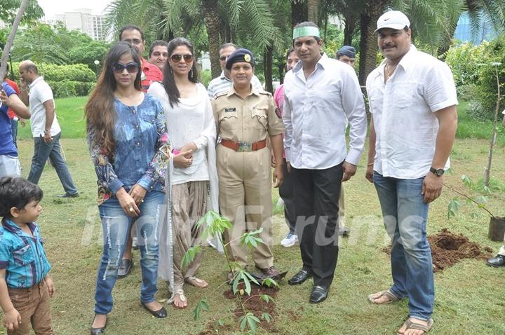 Tree Plantation Drive