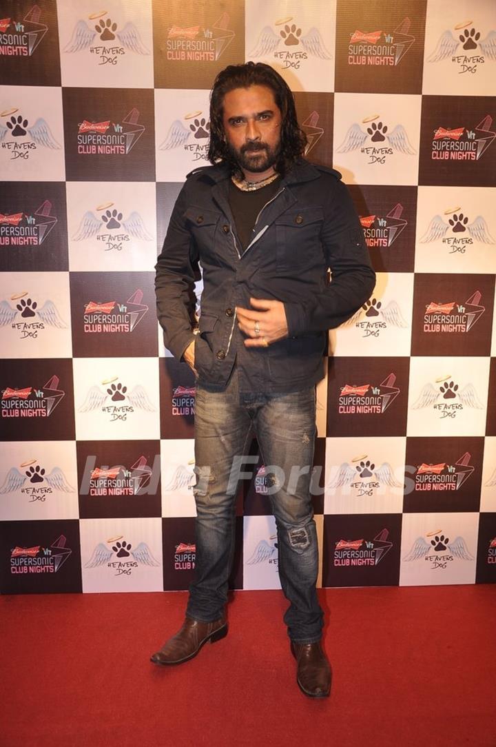 Mukul Dev poses for the media at the Launch of Heavens Dog Resturant