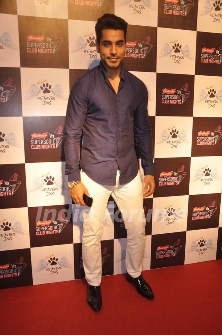 Gautam Gulati poses for the media at the Launch of Heavens Dog Resturant