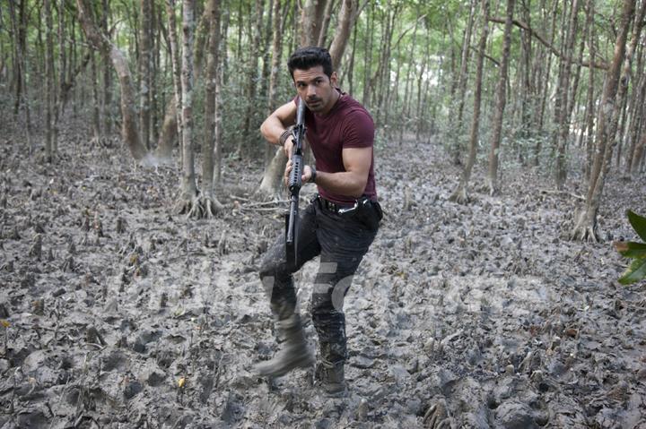 Roar: Tigers of the Sundarbans